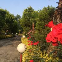 فروش باغ تجاری گردشگری صنعتی شهرکی تالار نمایشگاهی